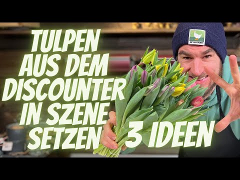 Fr&uuml;hlingsdeko Ideen - Tulpen aus dem Discounter in Szene setzten - 3 Ideen vom Profi mit 10 Tulpen