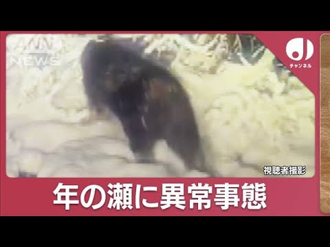 &ldquo;年の瀬&rdquo;もクマ目撃情報相次ぐ　異常事態に&ldquo;警報延長&rdquo;【スーパーJチャンネル】(2023年12月28日)