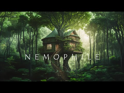 Nemophile - Serenity in The Trees - Ethereal Meditative Ambient Music for Sleep and Deep Relaxation