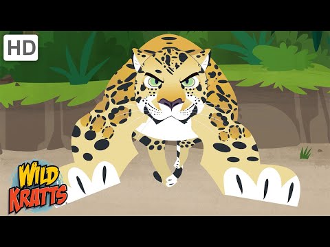 Big Cats | Furious Felines [Full Episodes] Wild Kratts