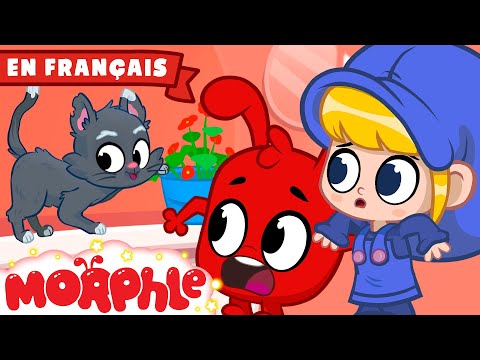 Morphle et les chatons | Morphle en Fran&ccedil;ais | Dessins Anim&eacute;s Pour Enfants