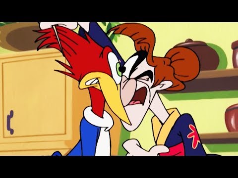 Woody Woodpecker | Crouching Meany, Hidden Woodpecker | Full Episode | Kids Movies