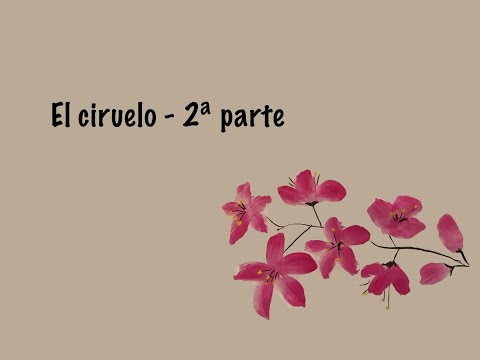 Sumi-e - El ciruelo - 2&ordf; parte