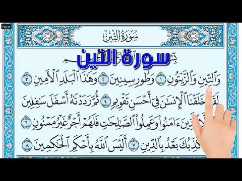 سورة التين ـ اسهل طريقة لحفظ القرآن الكريم The Noble Quran