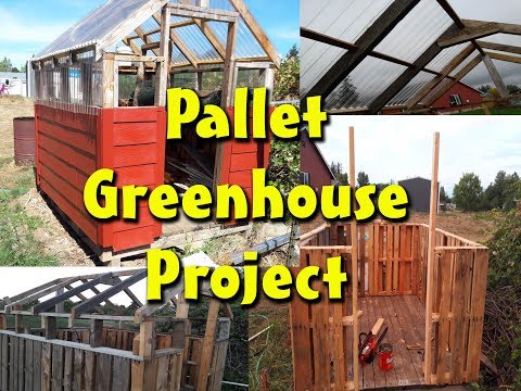 Greenhouse Built with free pallets.