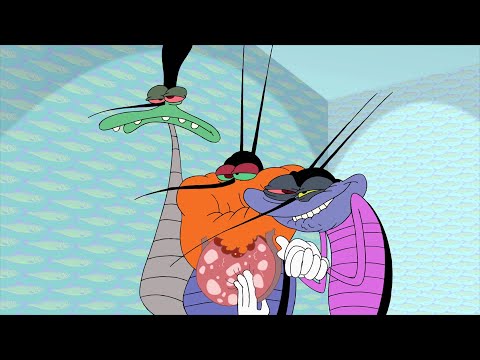 Oggy and the Cockroaches 🦂😎 COCKROACHES GANG COMPILATION 😎🦂  Full Episode HD