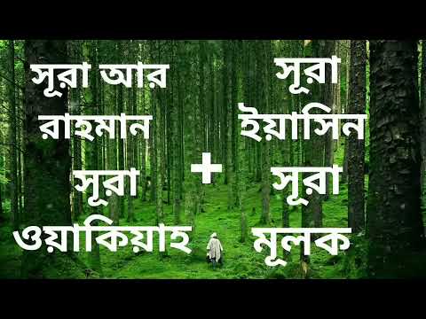 সূরা আর রাহমান 