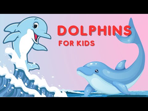 Dive into the World of Dolphins | Kids Educational Video about Incredible Ocean Mammals