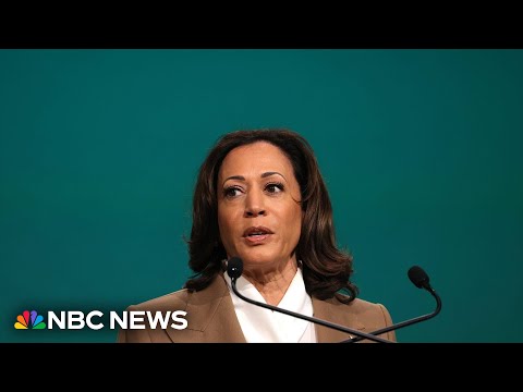 Harris says Israel &lsquo;must do more&rsquo; to protect civilians in Gaza