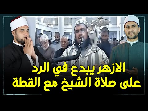 شاهد ما قاله علماء الازهر الشريف عن لقطة الامام والقطة والتعقيب عن حكم الصلاة مع القطط