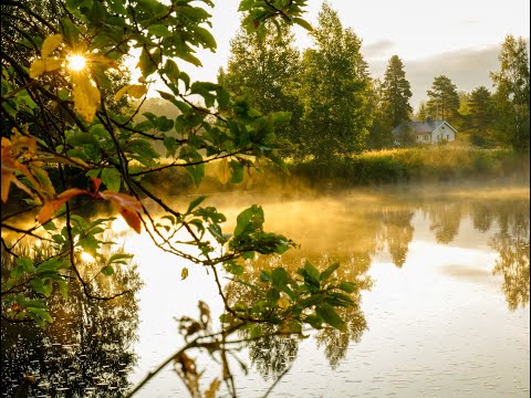 A Misty Morning in the Finnish Countryside (Relaxing)