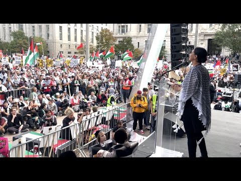 Noura Erakat's Speech at the March on Washington for Palestine