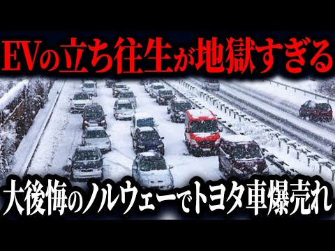 「トヨタが正しかった&hellip;」EVがヤバすぎる&hellip;数年でゴミになるEVを購入してはいけない理由【ゆっくり解説】