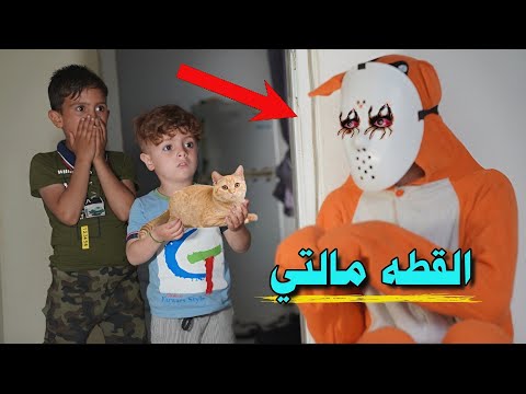 جابو قطه من الشارع|🐈|شوف شصار😱