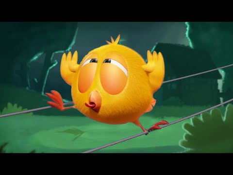 The garden | Where's Chicky? | Cartoon Collection in English for Kids | New episodes