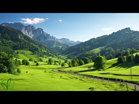 Gentle healing music for health and calming the nervous system, deep relaxation #2