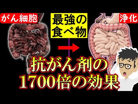 【科学的根拠あり】がん細胞を消滅させる食べ物3選！癌の増殖・転移を阻害【悪性新生物｜すい臓がん｜大腸がん｜胃がん｜原因】