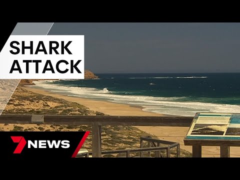 14-year-old boy taken by a shark near Ethel Beach at Innes National Park | 7 News Australia