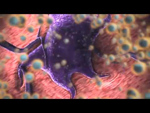 nanomedicine: nanotechnology for cancer treatment