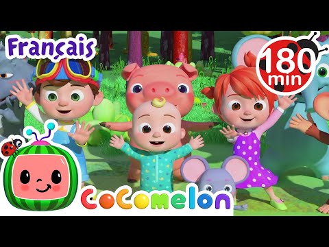 La danse des animaux | Chansons pour B&eacute;b&eacute;s | CoComelon Le coin des Animaux de JJ - Comptines