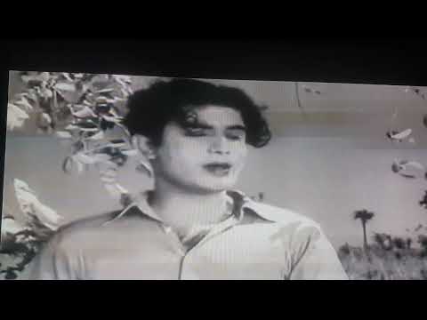 Meri yaad main tum na ansoo bahana. Tribute to Talaat Mehmood by Anjum Dar