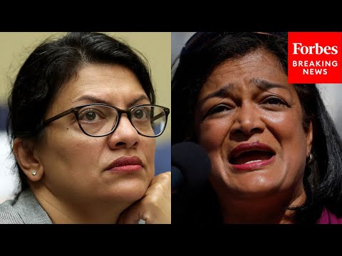 Jayapal Slams Move To Censure Rashida Tlaib: &lsquo;Have To Protect The Right To The Freedom Of Speech&rsquo;