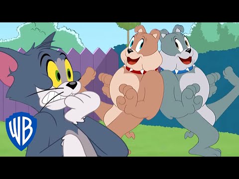 Tom &amp; Jerry | Spike's Brother | WB Kids