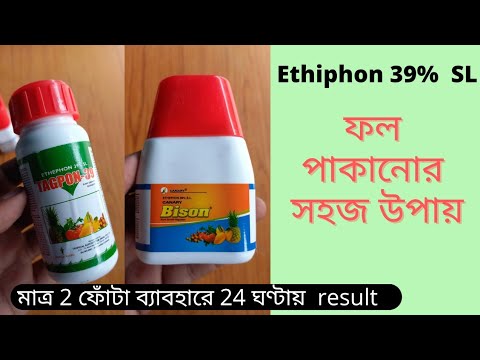 কম সময়ে ফল পাকানোর সহজতম উপায় || Ethiphon 39% SL ||