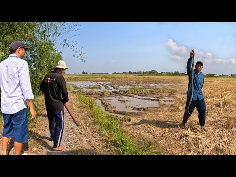 Thợ bắt c&aacute; biển Theo Con Nước TV, rất c&oacute; &quot;duy&ecirc;n&quot; với Rắn tr&ecirc;n đồng ruộng | TGSB 