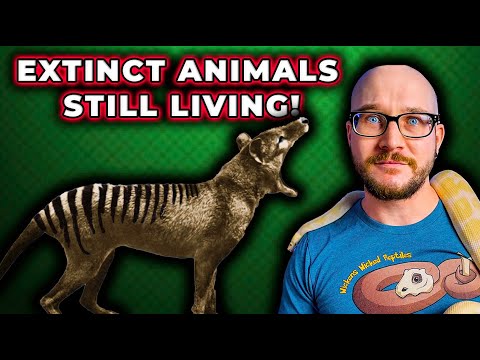 These 5 &quot;EXTINCT&quot; Animals Still Roam The Earth In 2024!