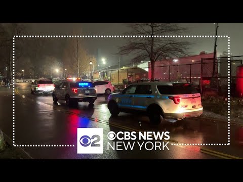 Police investigating deadly stabbing on Randall's Island