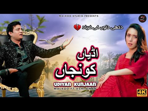 Udiyan Kunjan | Malkoo Ft Ashi Awan | Offical Video | Punjabi Song | Malkoo Studio | 2023