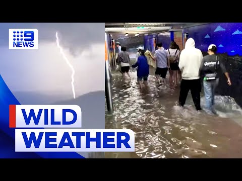 Four tourists struck by lightning in NSW | 9 News Australia