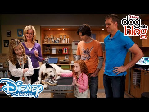 5 Nostalgic Moments | Dog With A Blog | Disney Channel UK