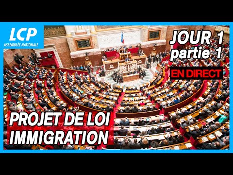 Immigration : le projet de loi examin&eacute; &agrave; l'Assembl&eacute;e | 1&egrave;re s&eacute;ance publique du 11/12/2023