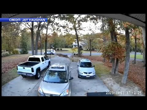 Video captures deer leaping into truck bed just as new buyer shows up