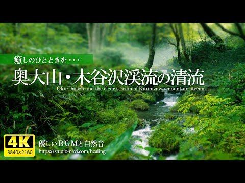 [Healing] Japan's beautiful river water and fresh greenery full of nature (Okudaisen)