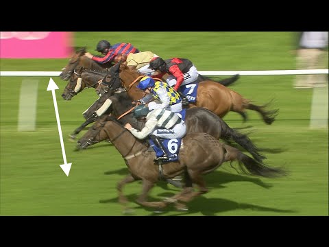 Unbelievable horse race! Five horses are separated by inches in thrilling finish!