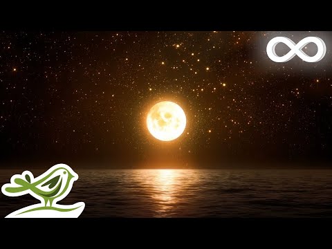 Deep Sleep Music - Relaxing Music for Sleeping, Stress Relief &amp; Meditation