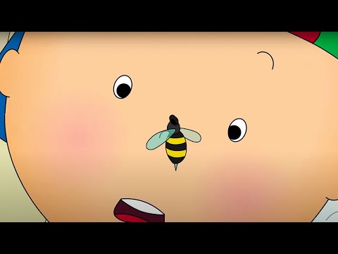 Caillou vs Bee | Caillou Cartoon