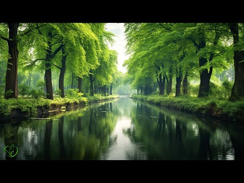 Beautiful relaxing music, stop thinking, music to relieve stress, soothing music #8