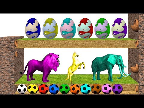 Learn Colors-Learn Numbers-Learn Animal Sounds in English