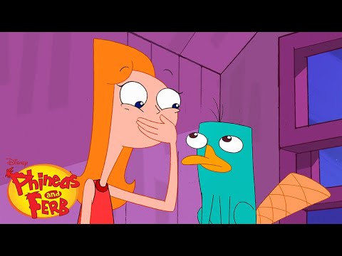 Caught on Camera | Phineas and Ferb | Disney XD