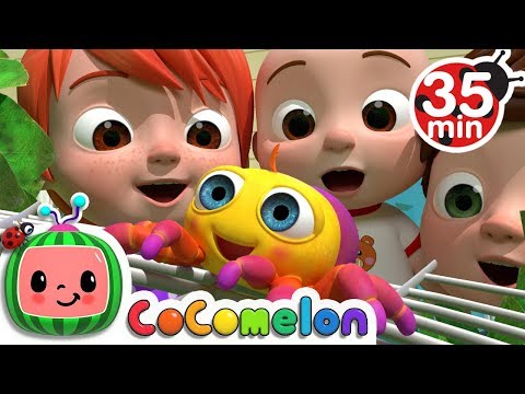 Itsy Bitsy Spider + More Nursery Rhymes &amp; Kids Songs - CoComelon