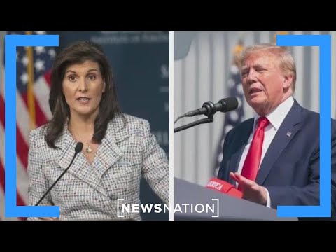 Abrams: Can Nikki Haley actually beat Donald Trump? | Dan Abrams Live