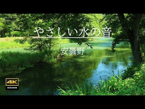 4K映像＋やさしい水の音  /  自然環境音　ASMR