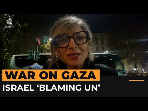 UN expert says Israel is &lsquo;blaming the messenger&rsquo; on Gaza | Al Jazeera NewsFeed