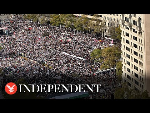 Thousands rally in DC in support of Palestinians and ceasefire in Gaza