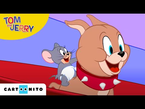 Tom i Jerry Show | Lunatykowanie | Cartoonito