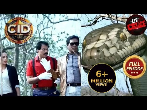 Team CID का हुआ एक साँप से सामना | CID | Team Operation | 17 June 2023